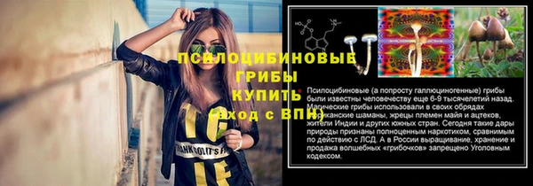СК Алексеевка