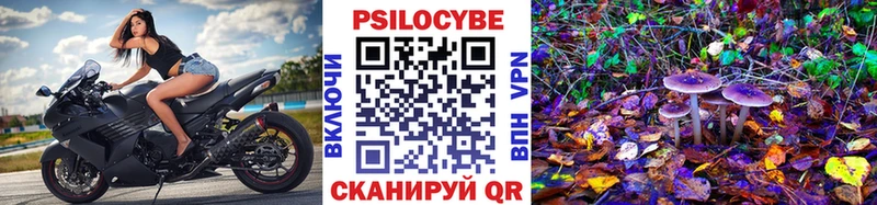 Псилоцибиновые грибы Psilocybine cubensis  наркотики  Мыски 