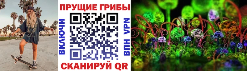 Псилоцибиновые грибы GOLDEN TEACHER Мыски